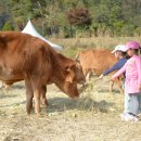 횡성한우 이미지