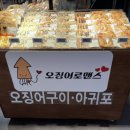 오징어로맨스 이미지
