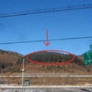 무릉도원면-49 이미지