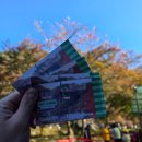 물안개피는 강가펜션 | 🍁내장산 단풍 11월 둘째주 현황 |주차·셔틀·케이블카 완벽 정리