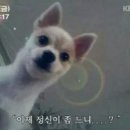 정신