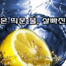 레몬 Daum카페