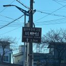 우리마트 사천점 | 사천 와따캠핑장 와따 9번 사이트 크리스마스 캠핑 3박 4일 후기