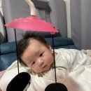 전주지역자활센터보드레기저귀 | 친환경 천 기저귀 사업[보드레 전주자활지역센터]