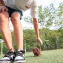 퍼피라떼 이미지