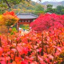 구미성리학역사관 야은관(강당) 네이버블로그