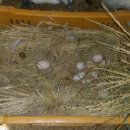 윤씨네농장 이미지