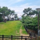삼화정비 더 한국타임즈