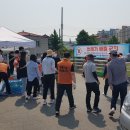 삼룡천 이미지