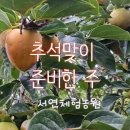 치맥킹신월성점 | 10월 첫째주 주간일기 _ 추석맞이 준비한 주