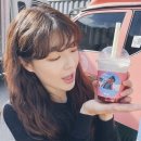 머리도시