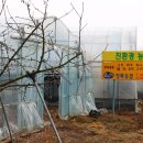 영복농장 이미지