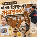 커피리브레 연남점 | 블루리본 선정 스페셜티 카페, 강아지랑 연남동데이트 츄플러스 봄사무소