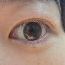 오렌즈 롯데몰수지점 | 오렌즈 비비링 원데이초코, 오렌즈 렌즈 추천, 오렌즈 내돈내산