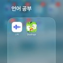 스픽과 듀오링고의 일주일 후기, 비교, 내돈내산, 광고 아님