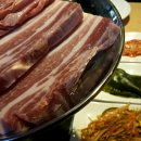 돌리고 제주도야지 이미지