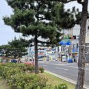 죽도부근해상