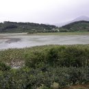 주남저수지 이미지