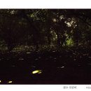 제주를 그리다 이미지