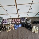 속초초등학교(병설) 이미지