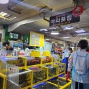 매운탕거리 | 속초관광수산시장 [아라횟집]에서 우럭+광어, 물회, 해삼, 전복회, 매운탕거리 포장해 온 후기