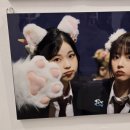 지우갤러리