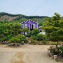 비나리펜션 - 홍천군 공작산로 1625 | 비나리펜션