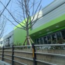 던킨 트레이더스연산점 | 연산동 이마트트레이더스 연산점 연어와 파이어볼 사본 후기