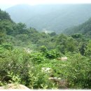 계곡&풍경 이미지