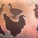 이천두농장 이미지