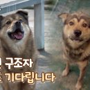 좋은 주말 아침입니다. 개신사 오공이 소식 ~ 이미지