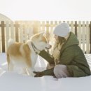 소랑동물병원 이미지