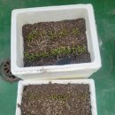 2024-주212 이미지