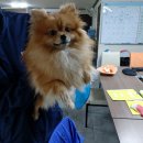 남구-136 이미지