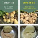 주식회사 메디로팜 이미지