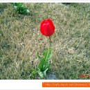 (주)다녀봄 이미지