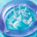 라이즈원 이미지