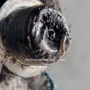 온천카센타 이미지