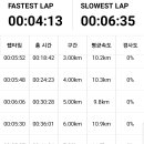 4/10 (토) 삼천천에서 아침조깅 10Km [마전교~삼천교 왕복] 이미지