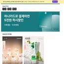 보고플레이 이미지