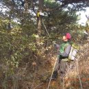 당진포1리 이미지