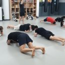 팀매드 당감 이미지