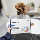 케어벳 | 강아지건강검진 페노비스 벳 케어 플러스 모발 검사 후기