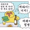 이동우콜렉션 이미지