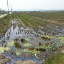 봉남면사무소 이미지