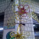 아지농장 이미지