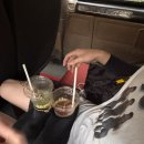 (주) 크레이지피쉬 | 2026 햅뉴얼 주주송이 푸꾸옥 여행2/ 극기훈련편 (온버드호핑투어, 즈엉동야시장, 그랜드월드사파리, 40...