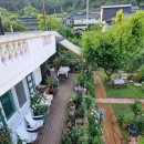 장미정원민박 이미지