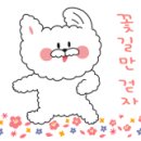 (주)올네이쳐