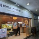 샐러리오 네이버블로그